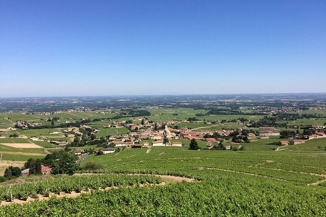 Beaujolais Wines & Castles - Private Tour - Half Day - Discovering Beaujolais Wines & Castles - A Private Half-Day Tour