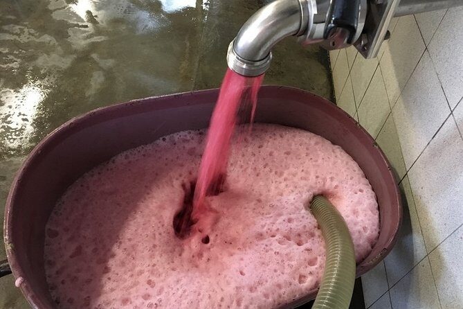 Beaujolais Wines & Castles - Private Tour - Half Day - Final Thoughts