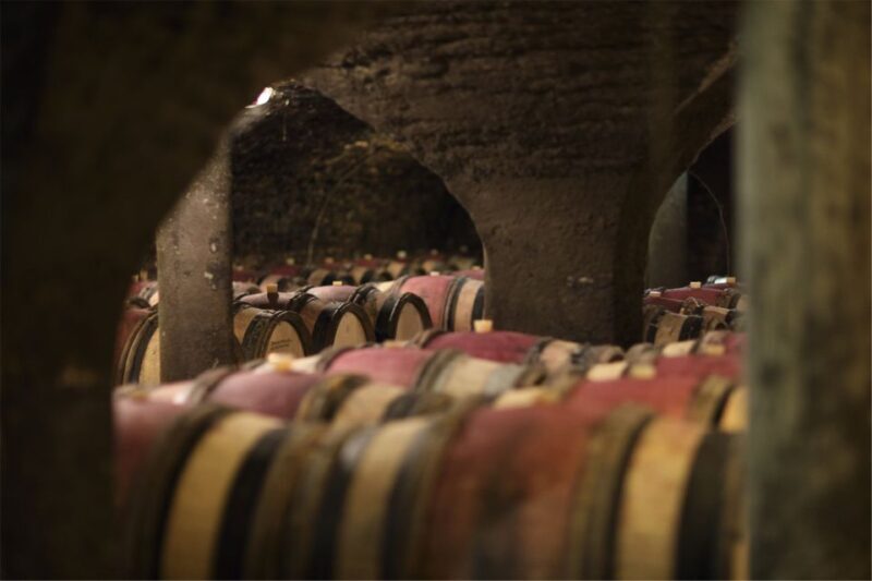 Beaune: Maison Champy Guided Cellar Tour with Wine Tasting - The Value: Price and Experience