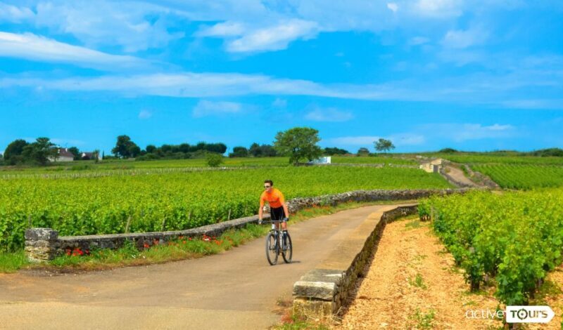 Beaune: Winery Tour by Bike with Wine Tasting - An engaging way to explore Burgundy’s famous vineyards