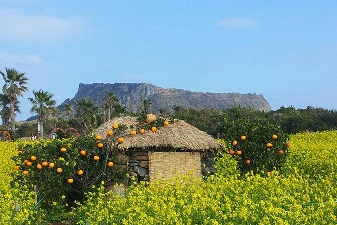 Beautiful Jeju Island Private UNESCO day Tour - Seongsan Ilchulbong: The Sunrise Peak
