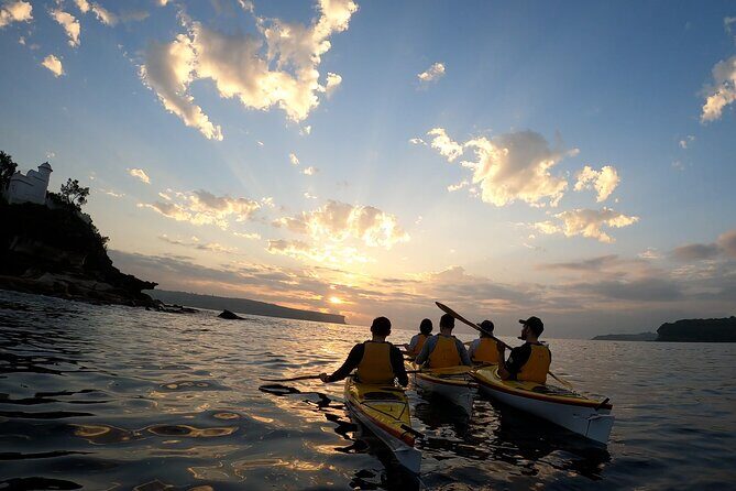Beautiful Middle Harbour Sunriser / Guided Kayaking Private Tour - The Itinerary: What to Expect