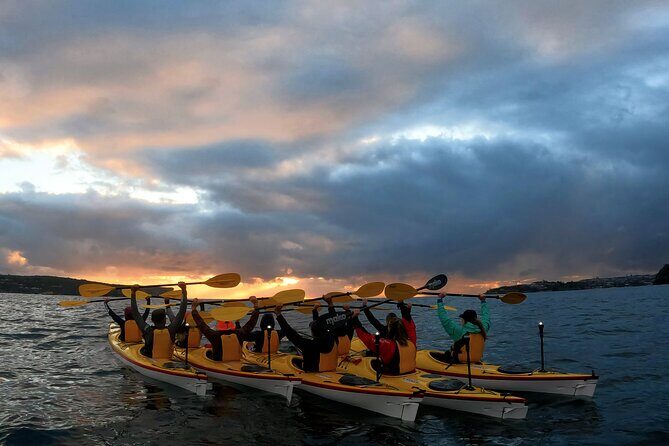 Beautiful Middle Harbour Sunriser / Guided Kayaking Private Tour - What Travelers Say