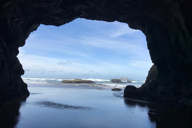 Beautiful Nature Tours Auckland - Private Tour - Final Thoughts