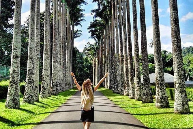Beautiful Sri Lanka - 6 Days Tour (Colombo-Sigiriya-Kandy -Galle) - What to Expect from the Sri Lanka 6-Day Tour