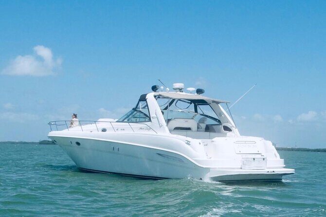 Beautiful Yacht SeaRay 48ft / 15PAX 25P16 - Who Should Book This Tour?