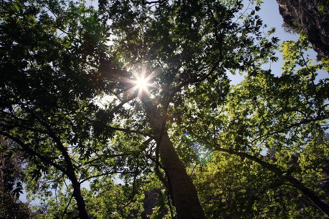 Beauty, Nature and Charm of Troodos Mountains from Paphos - The Sum Up