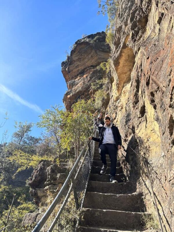 Beauty of the Blue Mountains Private Tour - The Blue Mountains Private Tour: A Deep Dive