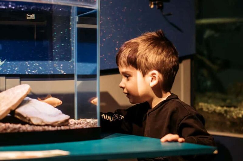 Becancour: Biodiversity Museum Visit - Getting to the Becancour Biodiversity Museum