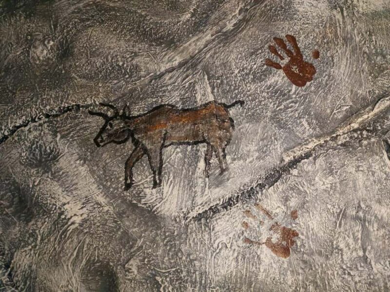 Becancour: Biodiversity Museum Visit - Guided Tours and Accessibility