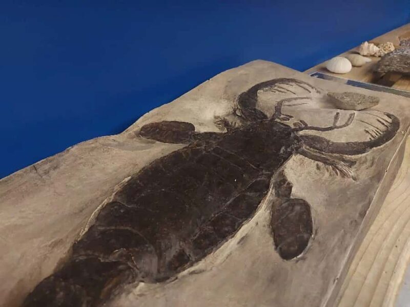 Becancour: Biodiversity Museum Visit - Value for Money