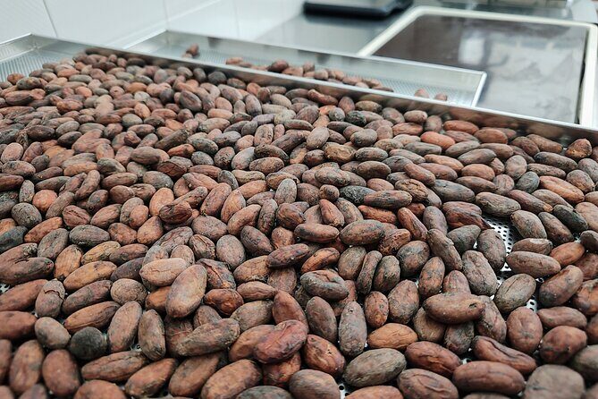 Become a chocolatier for a day, in Modica raw chocolate - The Sum Up: Who Will Love This Experience?