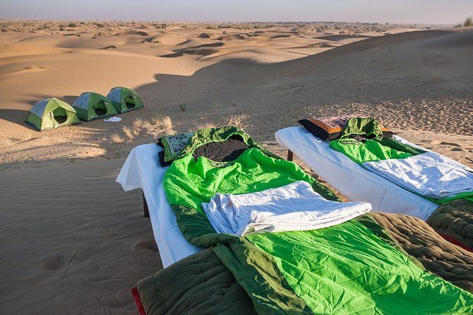 Become a Desert Nomad  Overnight Camel Safari in the Wild - Who Is This Tour Best For?