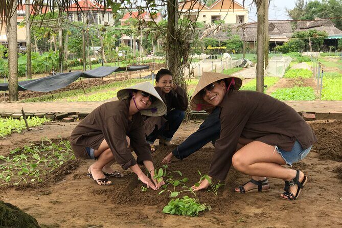 Become a Farmer at Tra Que Vegetable Village included cooking class and Foot Massage - An In-Depth Review of the Tra Que Farm Experience