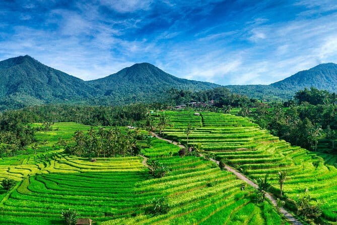 Bedugul & Tanah Lot Tour - Who Will Appreciate This Tour?