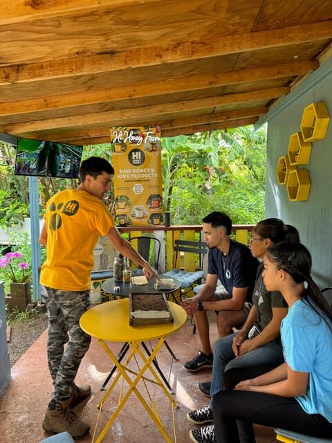 Bee Farm Tour & Honey Tasting - A Detailed Look at the Bee Farm Tour & Honey Tasting Experience
