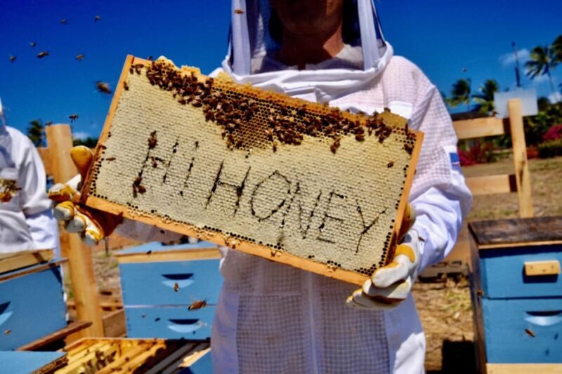 Bee Farm Tour & Honey Tasting - Frequently Asked Questions