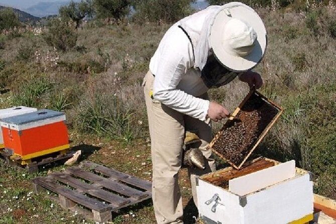 Beekeeper for a Day close to Nafplio - An In-Depth Look at the Tour