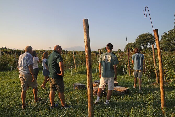 Beekeeping Farm Tour and Tasting Experience in Lazise - Who Would Love This Experience?