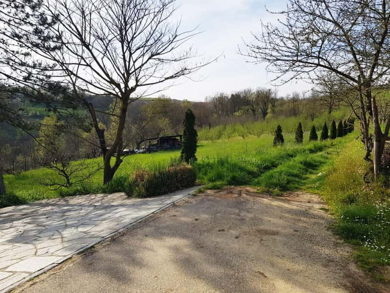 Beekeeping Tour and Honey Tasting Experience in Monferrato - An In-Depth Look at the Beekeeping and Honey Tasting Tour