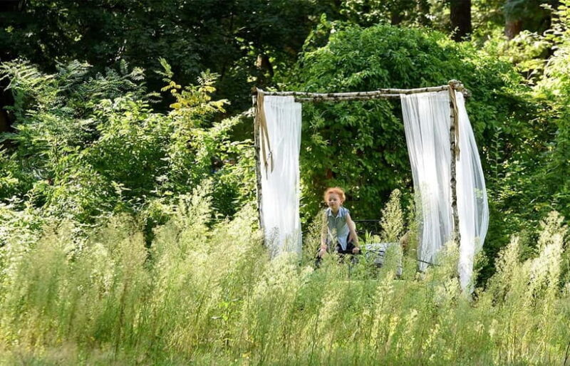 Beelitz-Heilstätten: Baum&Zeit Tree Top Walk Entry Ticket - Key Points
