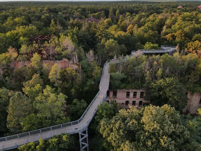 Beelitz-Heilstätten: Baum&Zeit Tree Top Walk Entry Ticket - A Detailed Look at the Experience