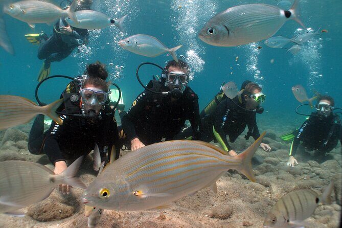 Beginner dive from Playa Chica with Instructor - Key Points