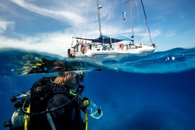 Beginner Diving Experience in Ligaria Bay - Key Points