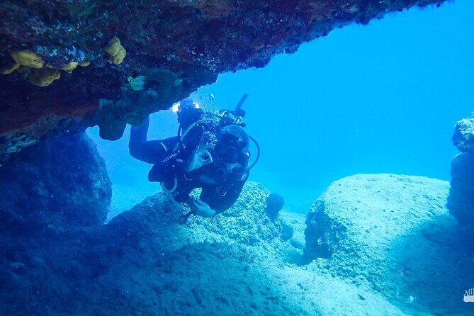Beginner Diving Experience in Ligaria Bay - Final Thoughts: Who Should Consider This Tour?