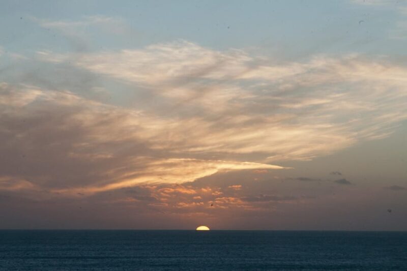 Beginner Foraging Walk: Wild food walking tour & tasters - FAQ