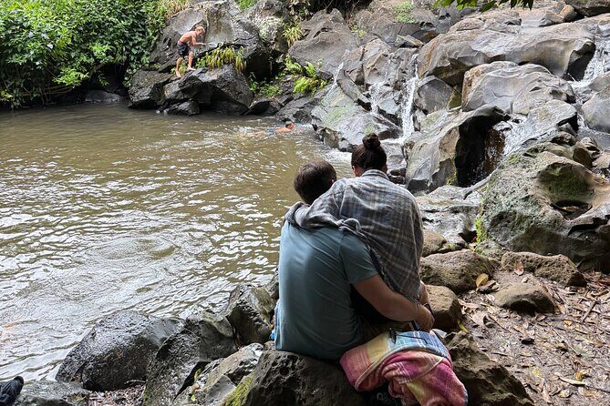 Beginner Forest Hike to a Refreshing Hawaiian Stream - Exploring Oahu’s Hidden Forest: What You Can Expect