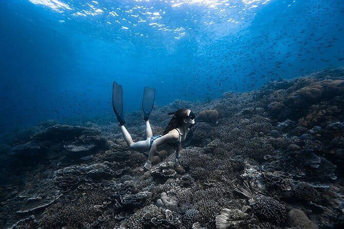 Beginner Freediving Course (with Bonus Session) - Key Points