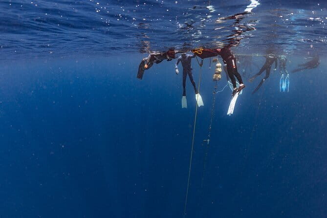 Beginner Freediving Course (with Bonus Session) - Logistics and Convenience