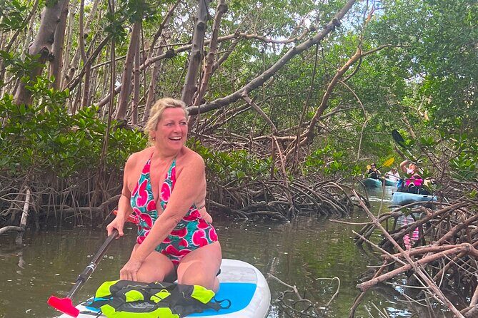 Beginner One Hour Guided Kayaking and SUP Activity - Key Points