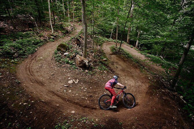 Beginner Rafting Day Trip - Why Choose This Tour?