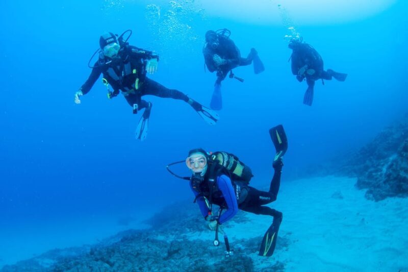 Beginner Scuba Dive with Scubapoint Tenerife in Turtle Area - The Benefits of Choosing a Guided, Small Group Experience