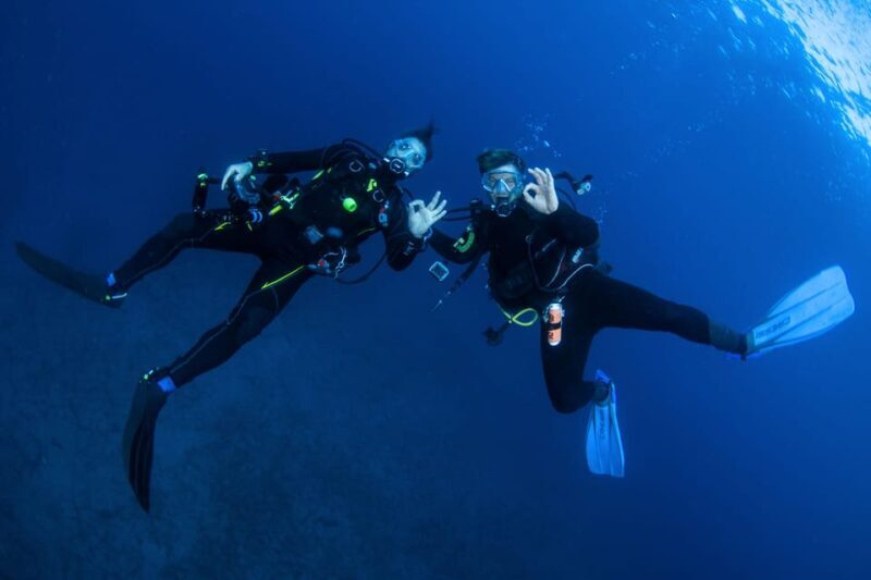 Beginner Scuba Dive with Scubapoint Tenerife in Turtle Area - The Sum Up