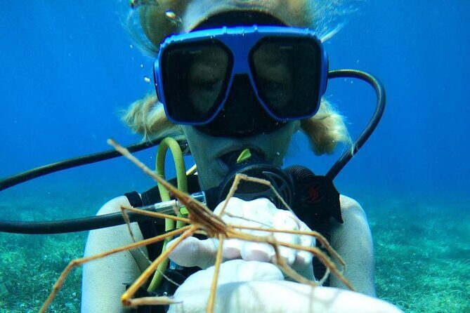 Beginner Scuba Diving Adventure at Chankanaab - FAQs