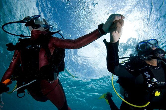 Beginners Scuba Diving Experience in Gran Canaria - What to Expect from the Beginners Scuba Diving Tour in Gran Canaria