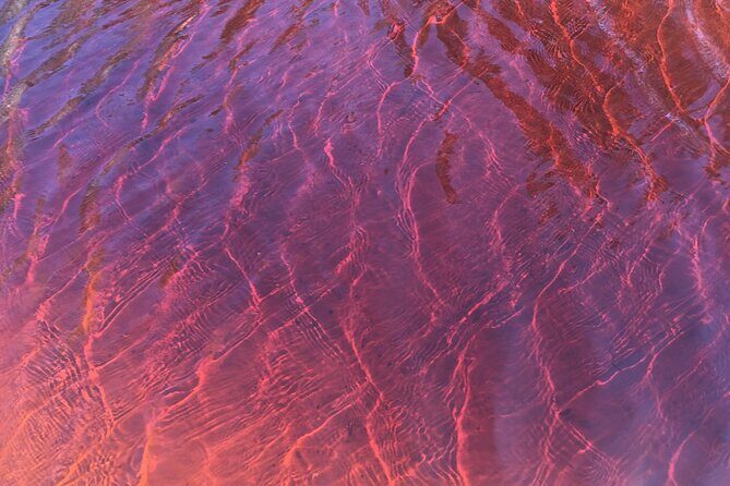 Behind The Bay - Explore Like a Local: Waterfalls/paddleboarding - An In-Depth Look at the Tour Experience