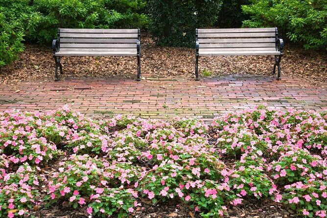 Behind the Plaques - 2 Hour Historical Walking Tour in Savannah - Exploring Savannah’s Past: Behind the Plaques - 2 Hour Historical Walking Tour
