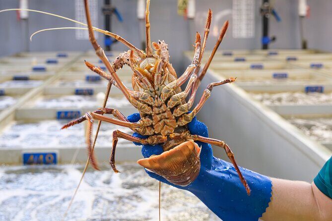 Behind-The-Scenes Ocean Harvest Tour - Frequently Asked Questions