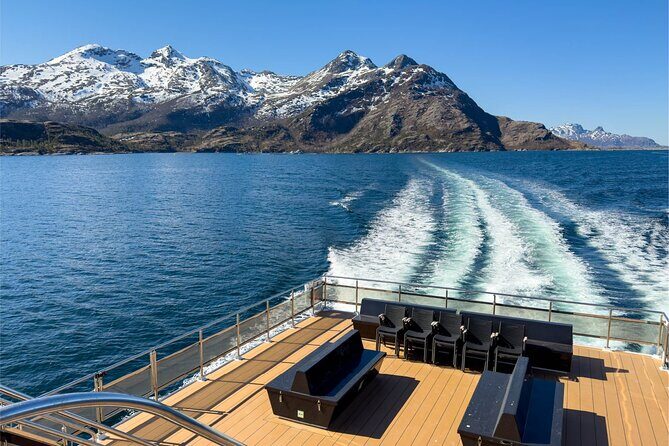 Beiarfjord & Saltstraumen Cruise with Guide - The Journey Begins in Bodø