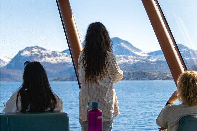 Beiarfjord & Saltstraumen Cruise with Guide - Value for Money