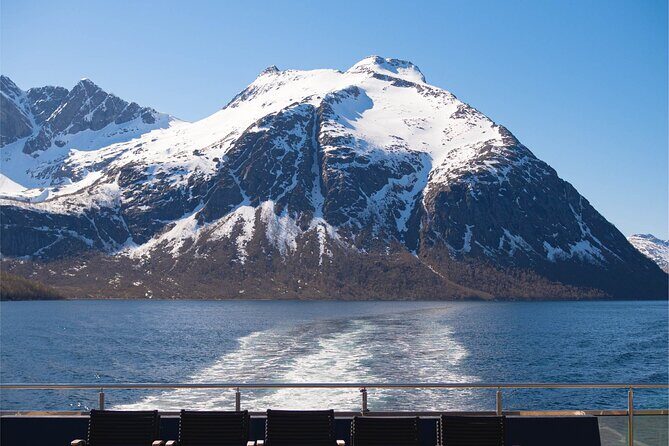Beiarfjord & Saltstraumen Cruise with Guide - The Sum Up: Who Should Book This Tour?