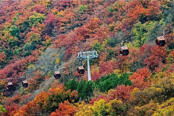 Beijing Great Wall Private Day Tour from Shanghai by Bullet Train - Introduction: The Best of Both Worlds—Fast and Rich in Experience