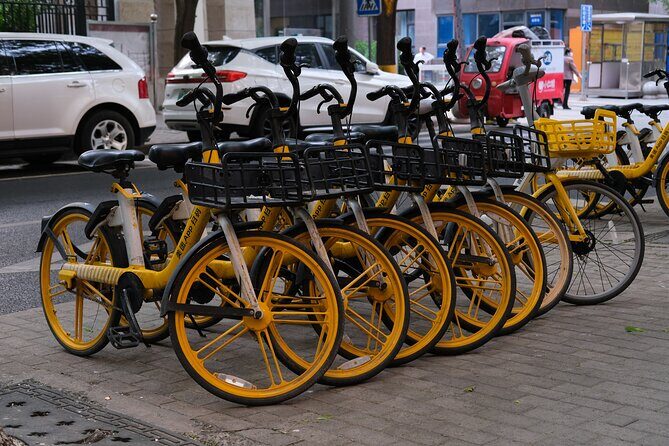 Beijing Highlights-Private Beijing Bike Tour - Who Should Consider This Tour?
