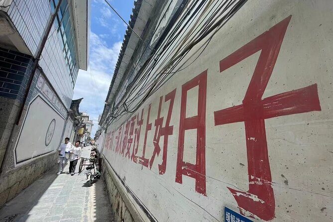Beijing Layover Tour: Lama Temple, Guozijian Museum, Jingshan and Houhai Hutong - Final Thoughts: Who Is This Tour Best For?