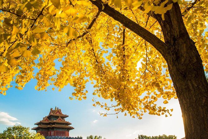 Beijing Layover Tour to Tiananmen Square and Forbidden City - Final Thoughts