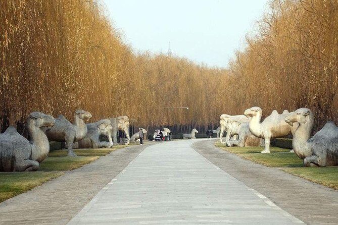 Beijing Private Day Tour to Ming Tombs - The Value and Who It’s Perfect For